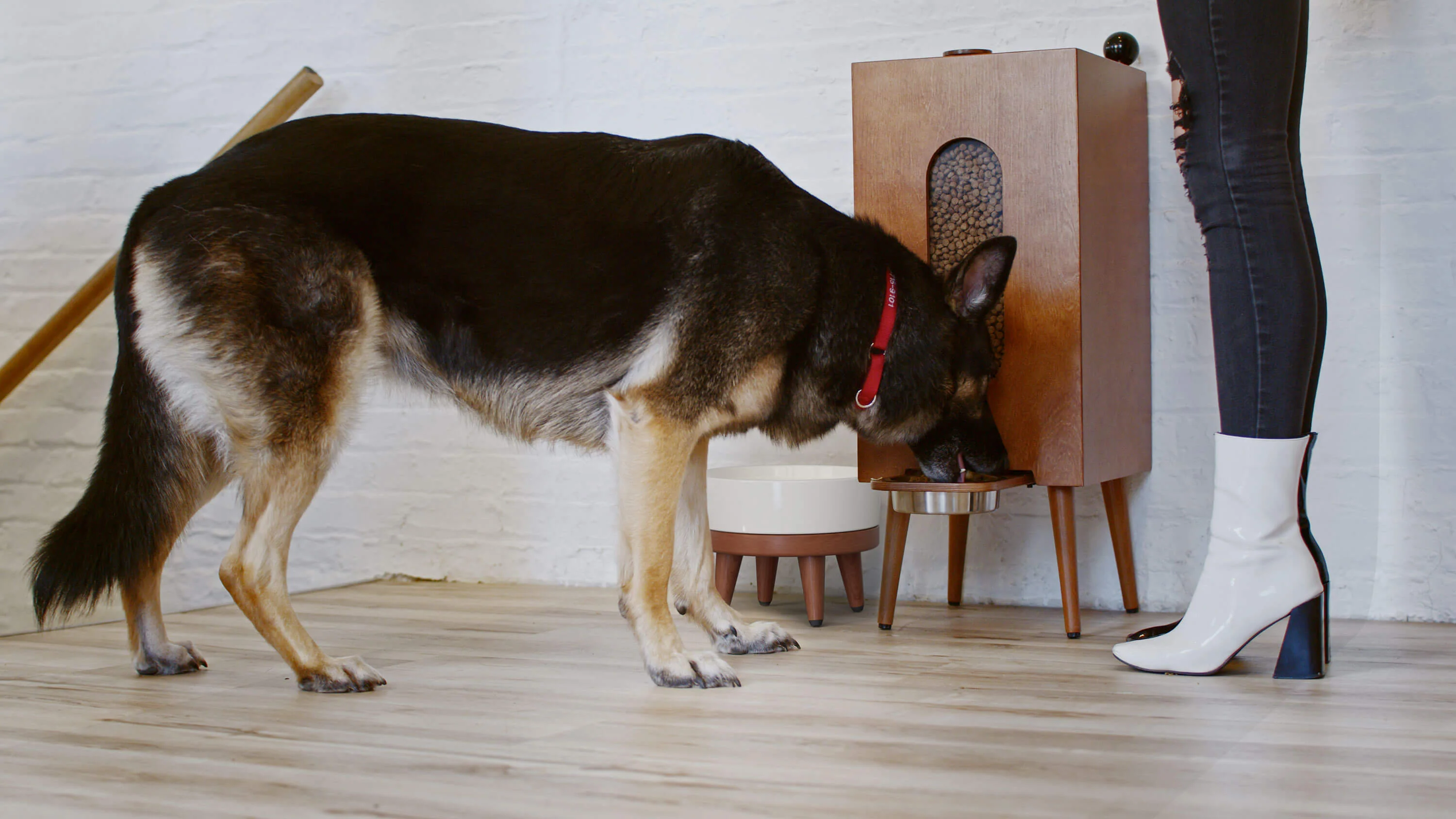 Houndsy Kibble Dispenser - Image 31